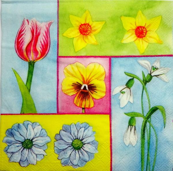 069 Tulpen - 3-lagig